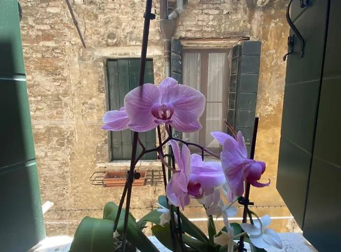 Emma's House Venecia