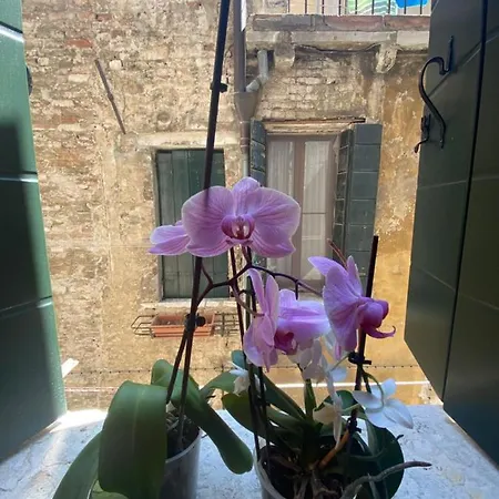 Emma's House البندقية